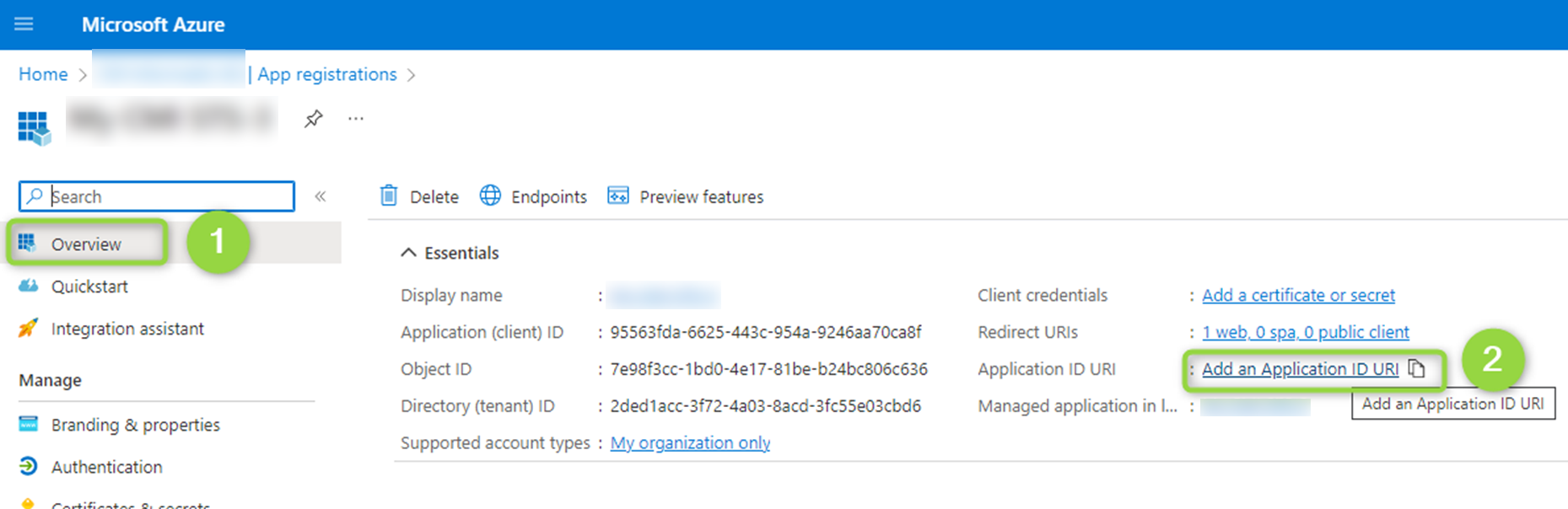 Application ID URI Overview